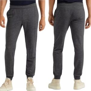 Icebreaker Merino Wool Shifter Joggers In Gray Men's Size Medium